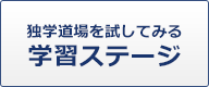 学習ステージ