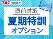 夏期特訓オプション