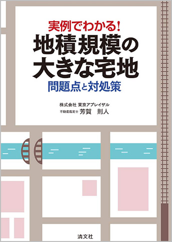 実例でわかる! 地積規模の大きな宅地 問題点と対処策